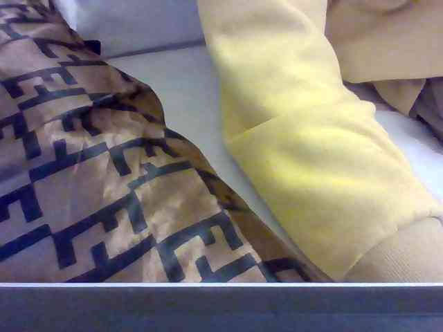 Dollie webcam