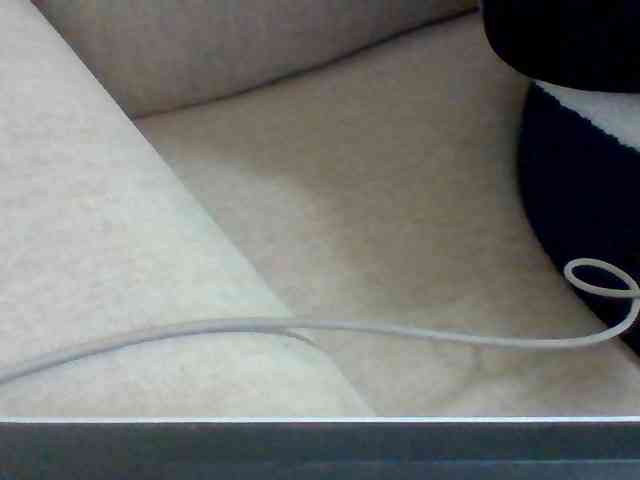 Dollie webcam