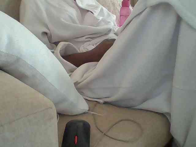 Dollie webcam