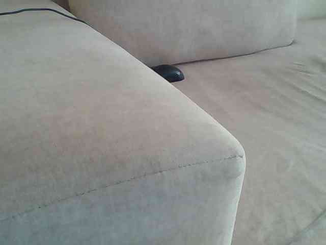 Dollie webcam