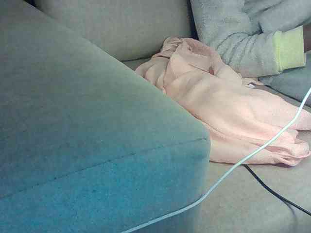 Dollie webcam