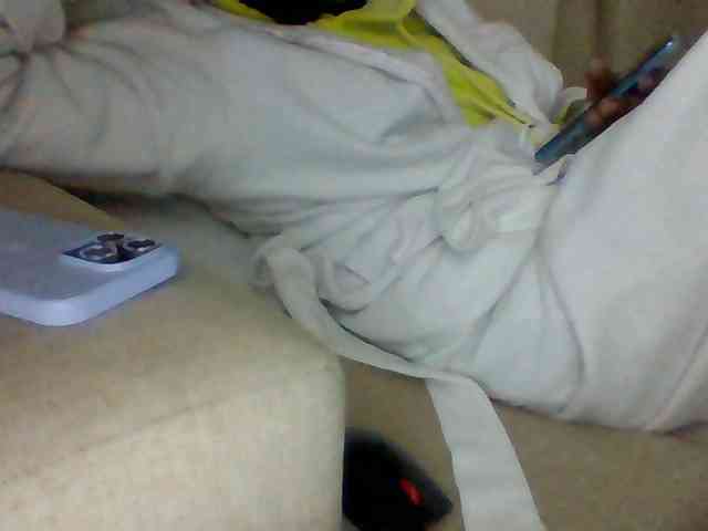Dollie webcam