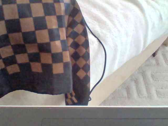 Dollie webcam