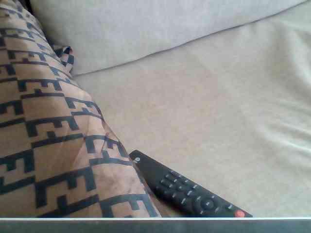 Dollie webcam