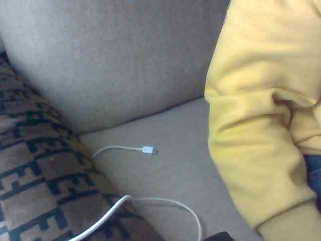 Dollie webcam