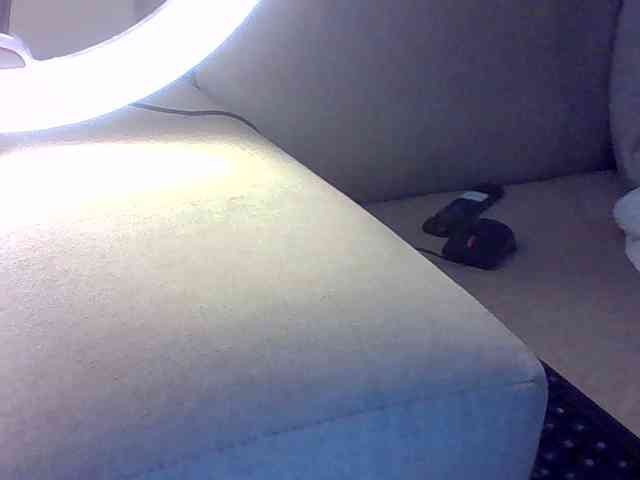 Dollie webcam
