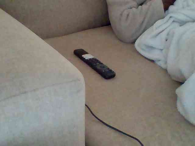 Dollie webcam