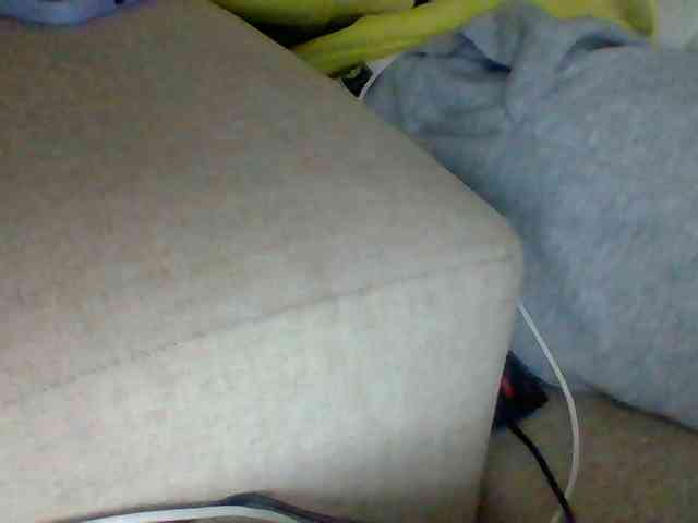 Dollie webcam