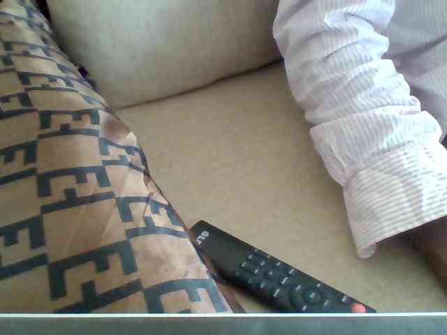 Dollie webcam
