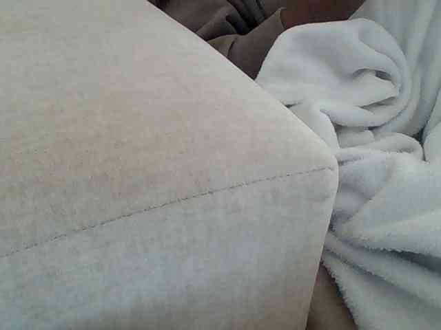 Dollie webcam