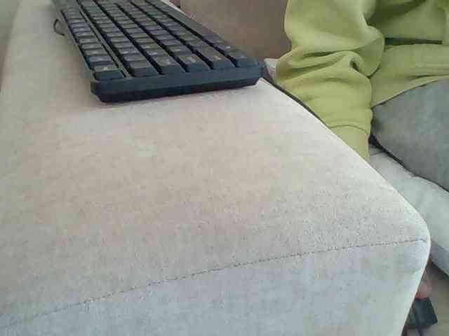 Dollie webcam