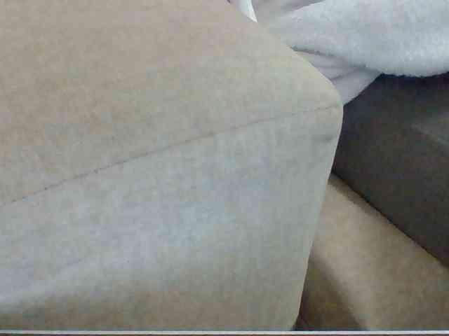 Dollie webcam