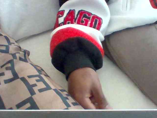 Dollie webcam