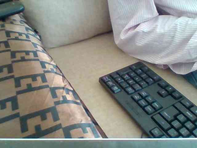 Dollie webcam