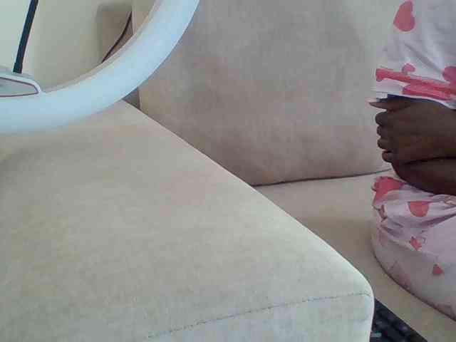 Dollie webcam