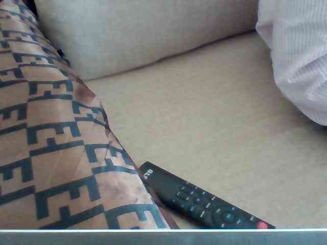 Dollie webcam