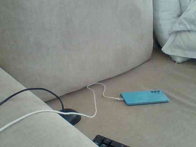 Dollie webcam