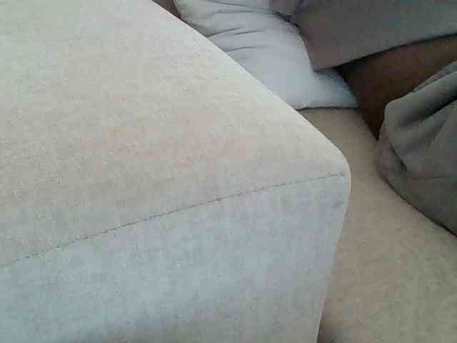 Dollie webcam