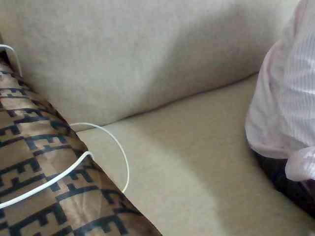 Dollie webcam