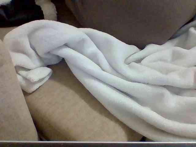 Dollie webcam