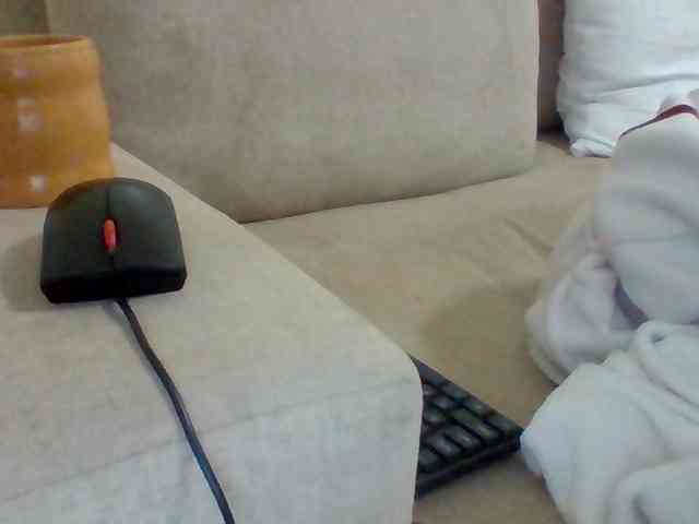Dollie webcam