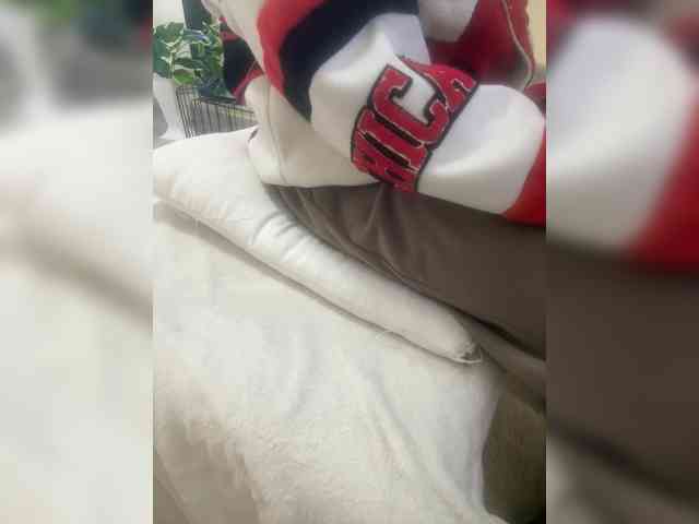 Dollie webcam