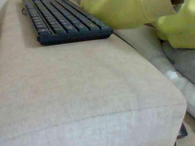 Dollie webcam