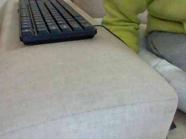 Dollie webcam