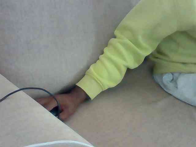 Dollie webcam