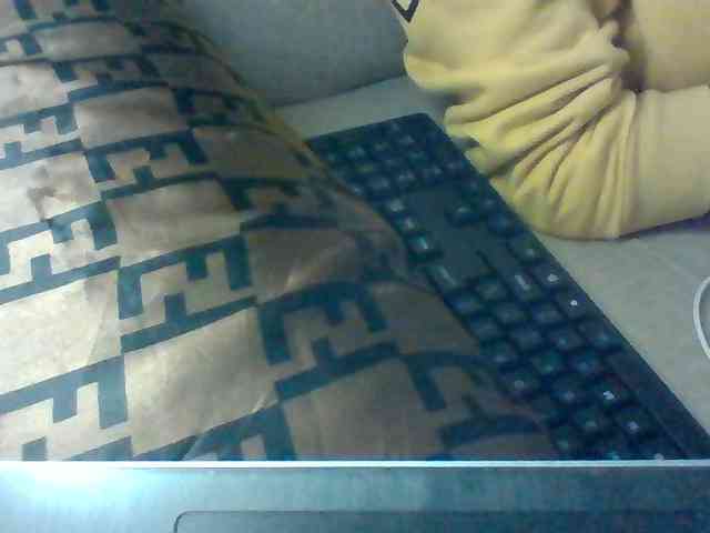 Dollie webcam
