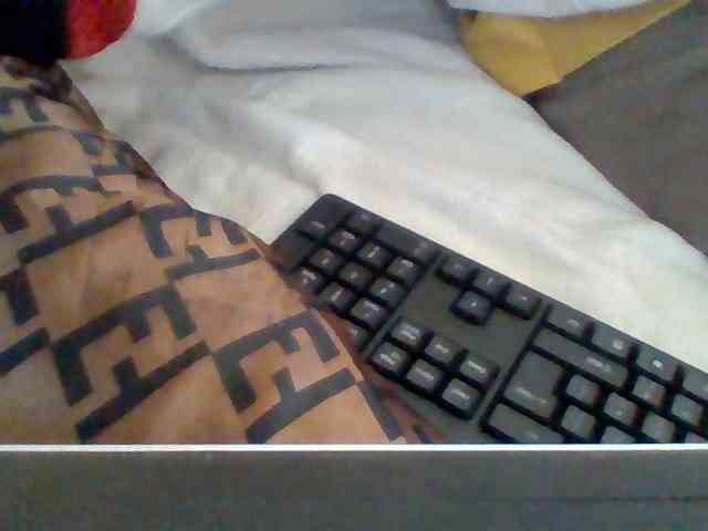 Dollie webcam