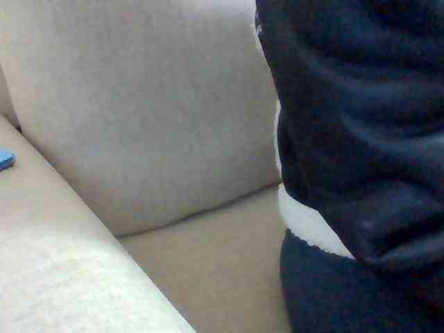 Dollie webcam