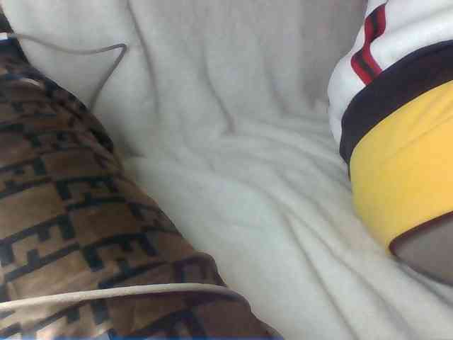 Dollie webcam