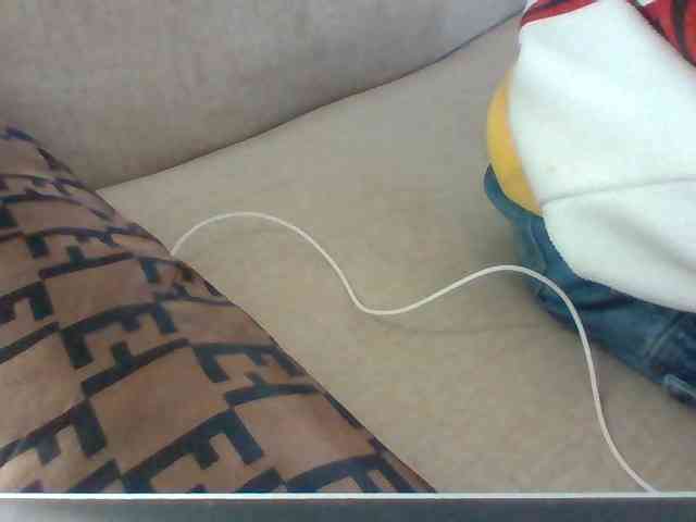 Dollie webcam