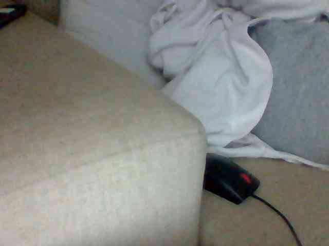 Dollie webcam