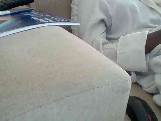 Dollie webcam