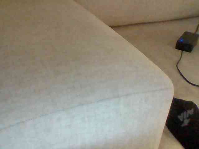 Dollie webcam