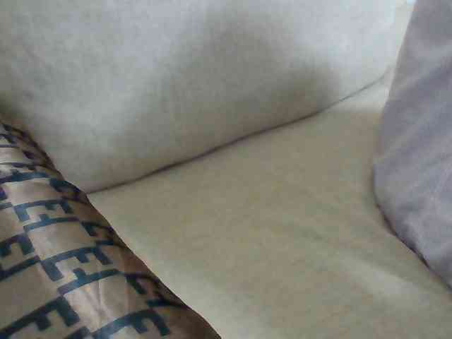 Dollie webcam