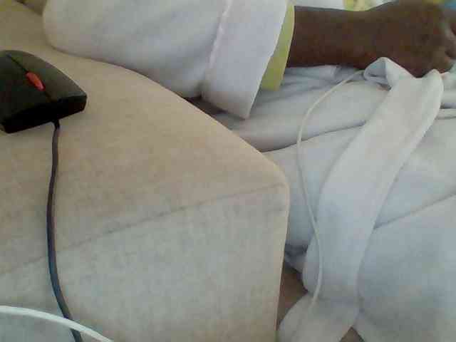 Dollie webcam