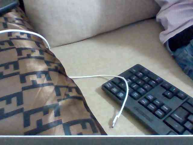 Dollie webcam