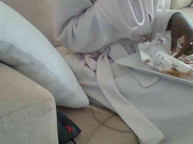 Dollie webcam