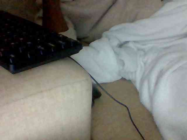 Dollie webcam