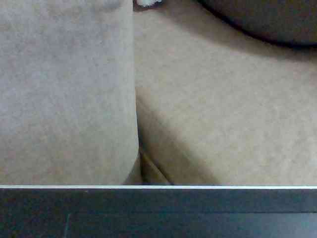 Dollie webcam
