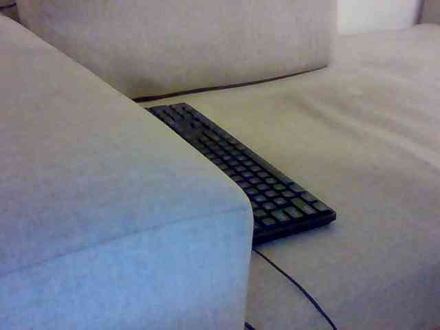 Dollie webcam