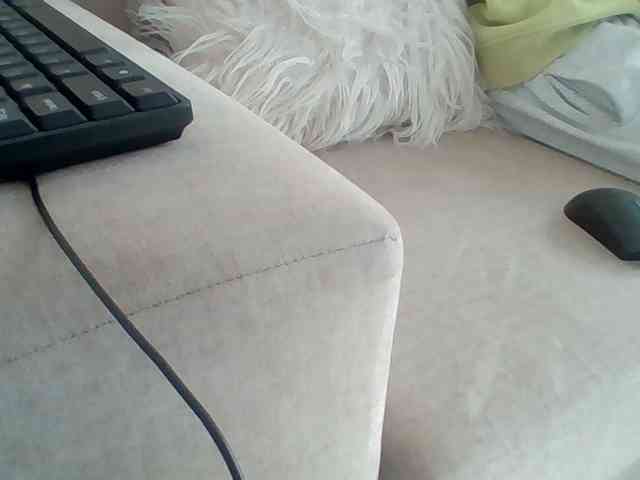 Dollie webcam