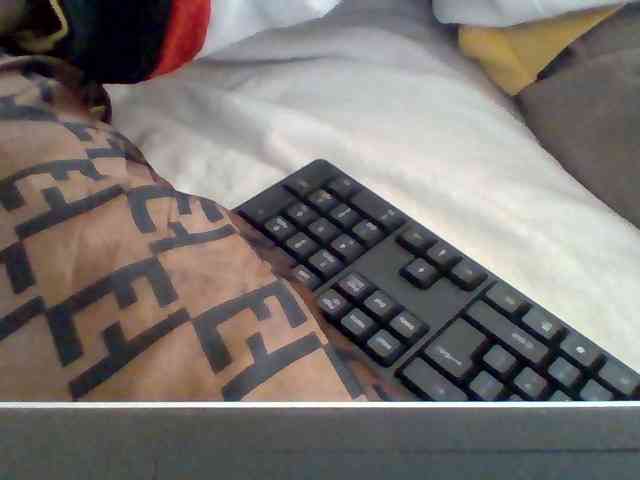 Dollie webcam