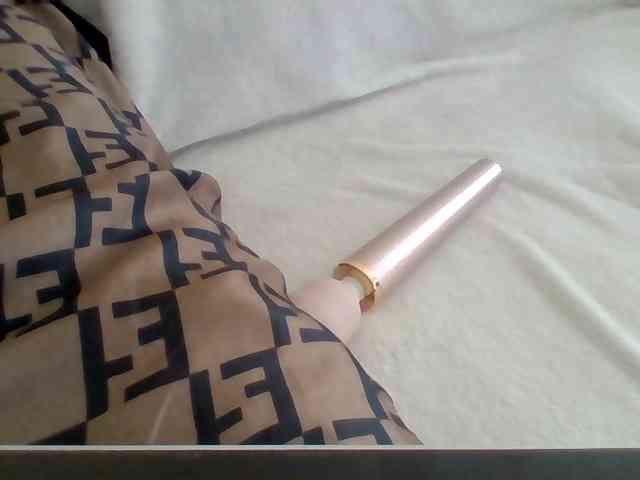 Dollie webcam