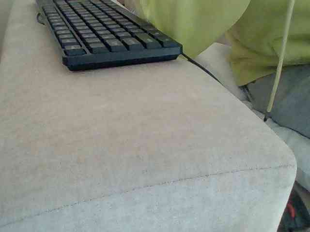 Dollie webcam