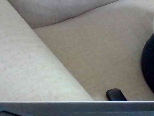 Dollie webcam