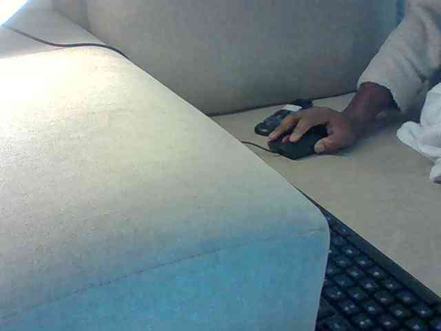 Dollie webcam